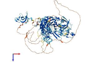CYLD Protein (AA 1-956) (His tag)