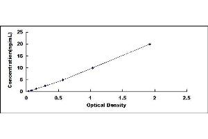 Typical standard curve (AQP3 ELISA Kit)