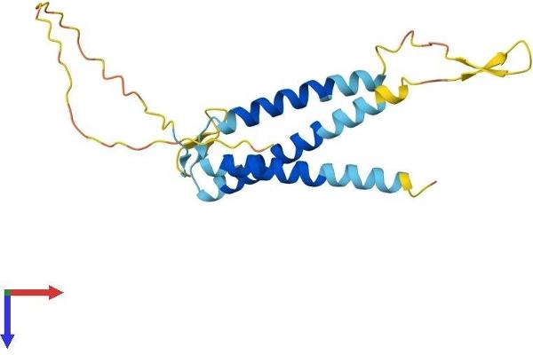 SLC31A1 Protein (AA 1-190) (His tag)