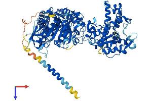 NDST4 Protein (AA 1-872) (His tag)