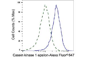 Validation of Casein kinase 1 epsilon knockdown using flow cytometry. (CK1 epsilon Antikörper)