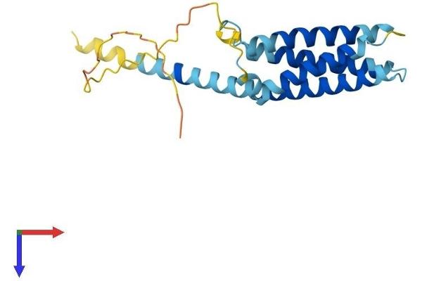 CMTM4 Protein (AA 1-208) (His tag)