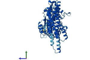 Protein Structure (PS) image for Formiminotransferase Cyclodeaminase (FTCD) (AA 1-541) protein (His tag) (ABIN7560085)