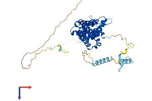 PAIP1 Protein (AA 1-400) (His tag)