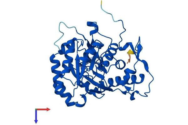 GMPR2 Protein (AA 1-348) (His tag)