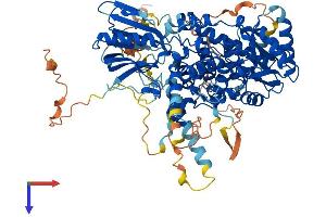 MTMR10 Protein (AA 1-771) (His tag)