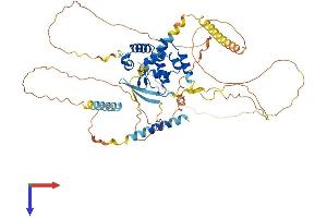 ARID3A Protein (AA 1-593) (His tag)