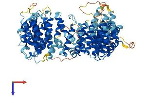 BAAT1 Protein (AA 1-821) (His tag)