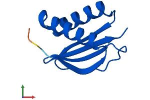 Protein Structure (PS) image for Dynein, Light Chain, LC8-Type 1 (DYNLL1) (AA 1-89) protein (His tag) (ABIN7556651)