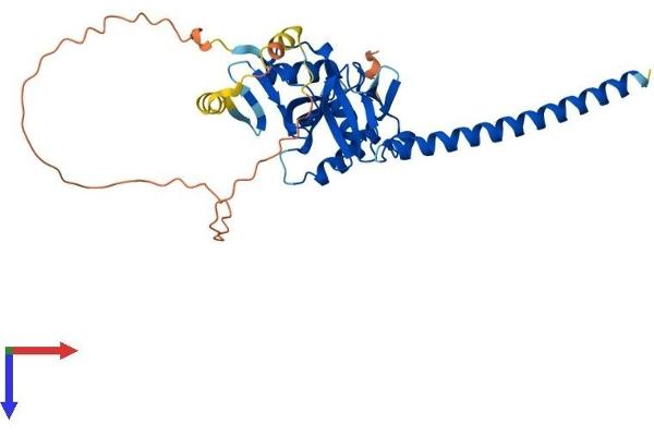 RASSF4 Protein (AA 1-322) (His tag)