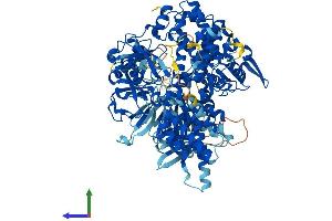 AlphaFold protein structure predicition of Mouse Recombinant Rapgef4 Protein, UniprotID Q9EQZ6