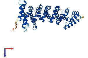 CAB39L Protein (AA 1-337) (His tag)