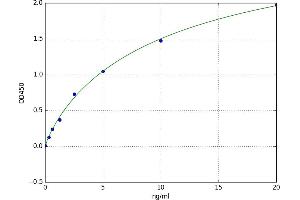 A typical standard curve (Calpain 6 ELISA Kit)