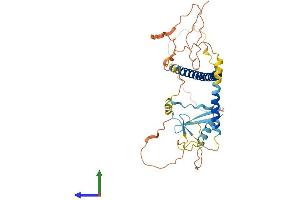 Protein Structure (PS) image for Multiciliate Differentiation and DNA Synthesis Associated Cell Cycle Protein (MCIDAS) (AA 1-385) protein (His tag) (ABIN7549346)