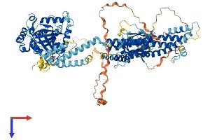 DNM2 Protein (AA 1-870) (His tag)