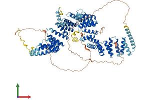 Protein Structure (PS) image for Intraflagellar Transport 88 Homolog (IFT88) (AA 1-824) protein (His tag) (ABIN7557698)