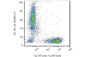 Surface staining of human peripheral blood cells with anti-human CD7 (MEM-186) PE. (CD7 Antikörper  (PE))