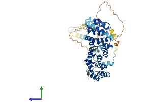 Protein Structure (PS) image for Bystin-Like (BYSL) (AA 1-436) protein (His tag) (ABIN7562422)