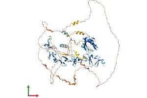 Protein Structure (PS) image for LIM Domain Binding 3 (LDB3) (AA 1-723) protein (His tag) (ABIN7561645)