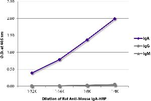 ELISA plate was coated with purified mouse IgM, IgG, and IgA. (Ratte anti-Maus IgA (Heavy Chain) Antikörper (HRP))