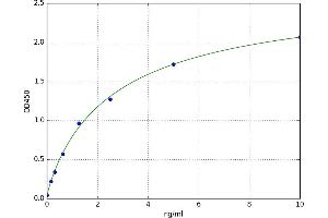 A typical standard curve (FOXC2 ELISA Kit)