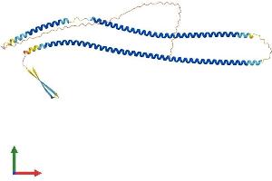 AlphaFold protein structure predicition of Human Recombinant KRT17 Protein, UniprotID Q04695