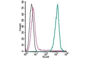 Cell surface detection of TREM2 by direct flow cytometry in live intact mouse J774 macrophage cells: (black line) Cells. (TREM2 Antikörper  (Extracellular, N-Term) (PE))