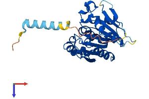 ABHD14A Protein (AA 1-247) (His tag)