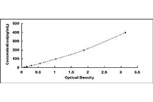 Typical standard curve (Collagen IV ELISA Kit)