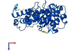 DERA Protein (AA 1-318) (His tag)
