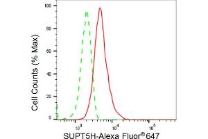 Flow cytometric analysis of SUPT5H expression in HT- cells using SUPT5H antibody (ABIN7800586), 1:2,000). (Rekombinanter SUPT5H Antikörper)