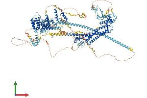 Protein Structure (PS) image for Diaphanous Homolog 1 (DIAPH1) (AA 1-1255) protein (His tag) (ABIN7562209)