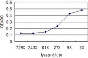 Sandwich ELISA detection sensitivity ranging from approximately 27x to 3x dilution of the CTSD 293T overexpression lysate (non-denatured).