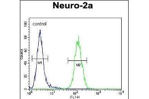 LCN10 Antibody (Center) (ABIN654544 and ABIN2844258) flow cytometric analysis of Neuro-2a cells (right histogram) compared to a negative control cell (left histogram). (LCN10 Antikörper  (AA 94-123))