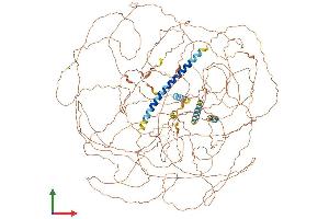 Meningioma 1 Protein (AA 1-1320) (His tag)