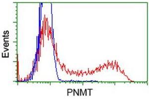 HEK293T cells transfected with either RC206586 overexpress plasmid (Red) or empty vector control plasmid (Blue) were immunostained by anti-PNMT antibody (ABIN2454537), and then analyzed by flow cytometry. (PNMT Antikörper)