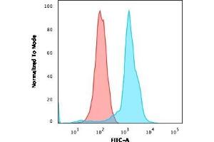 Flow Cytometric Analysis of MOLT-4 cells. (CD6 Antikörper)