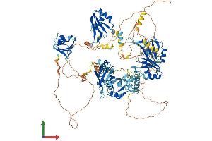 Protein Structure (PS) image for RNA Binding Motif Protein 19 (RBM19) (AA 1-952) protein (His tag) (ABIN7559729)