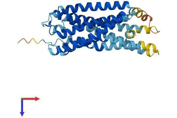 GPR82 Protein (AA 1-336) (His tag)