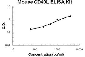 Mouse CD40L Accusignal ELISA Kit Mouse CD40L AccuSignal ELISA Kit standard curve.