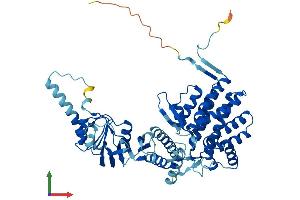 Protein Structure (PS) image for Chaperonin Containing TCP1, Subunit 7 (Eta) (CCT7) (AA 1-543) protein (His tag) (ABIN7544303)