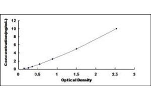 Typical standard curve (TRPM7 ELISA Kit)