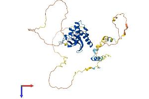 HS1BP3 Protein (AA 1-395) (His tag)
