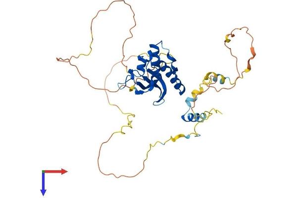 HS1BP3 Protein (AA 1-395) (His tag)