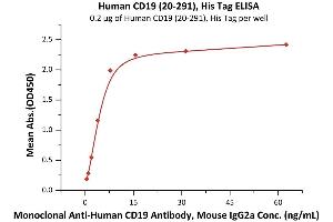 Immobilized Human CD19 (20-291), His Tag (ABIN5674620,ABIN6253679) at 5 μg/mL (100 μL/well) can bind FMC63 with a linear range of 0.