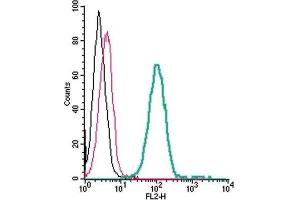 Cell surface detection of TREM2 by direct flow cytometry in live intact human THP-1 monocytic leukemia cells: (black line) Cells. (TREM2 Antikörper  (Extracellular, N-Term) (PE))