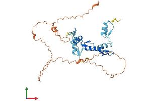Protein Structure (PS) image for Snail Homolog 3 (SNAI3) (AA 1-292) protein (His tag) (ABIN7546136)