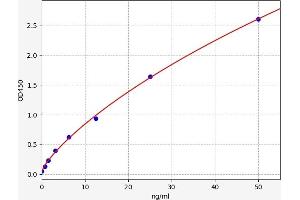 Typical standard curve (AKR1B10 ELISA Kit)