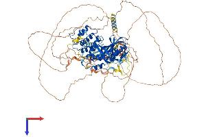 EPB41L1 Protein (AA 1-881) (His tag)