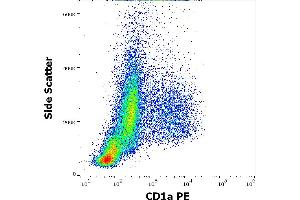 Flow cytometry surface staining pattern of human stimulated (GM-CSF + IL-4) peripheral blood monocytes stained using anti-human CD1a (HI149) PE antibody (20 μL reagent per milion cells in 100 μL of cell suspension). (CD1a Antikörper  (PE))